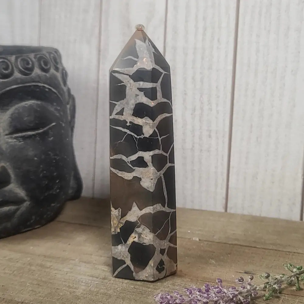 Hand-polished Black Septarian stone featuring bold yellow, brown, and black patterns, displayed on a white background.