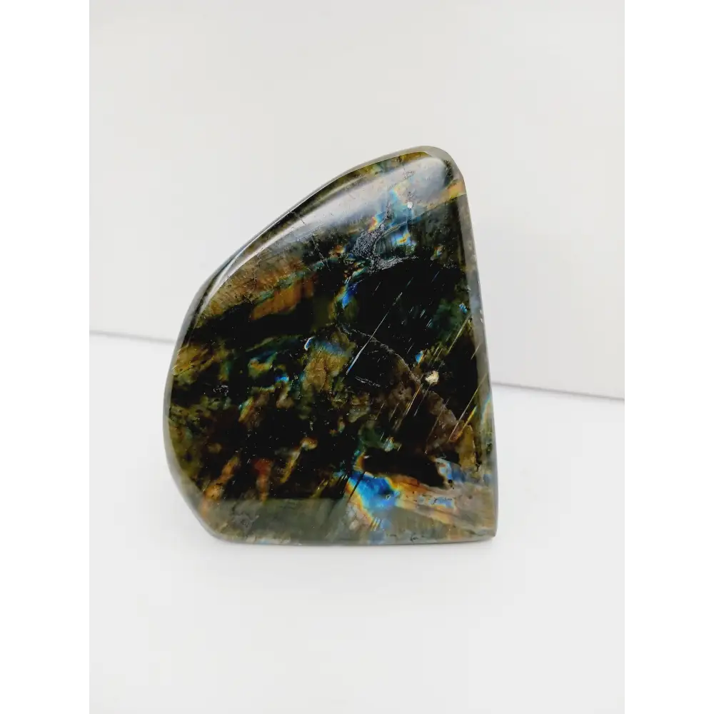 Labradorite freeform with vibrant flashes of blue, green, and gold, polished and displayed on a white background.