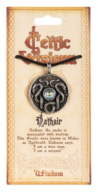 🍀✨ Celtic Visions Necklace and Pendant – Timeless Symbolism Ancestral Magic and Everyday Connection! 🌀 - Nathair