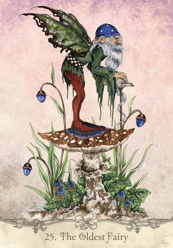 Fairy Wisdom Oracle Deck and Book Set - Tarot Decks & Divination