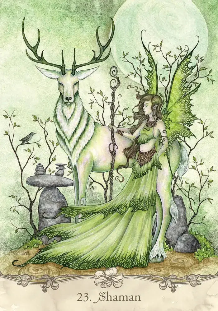 Fairy Wisdom Oracle Deck and Book Set - Tarot Decks & Divination