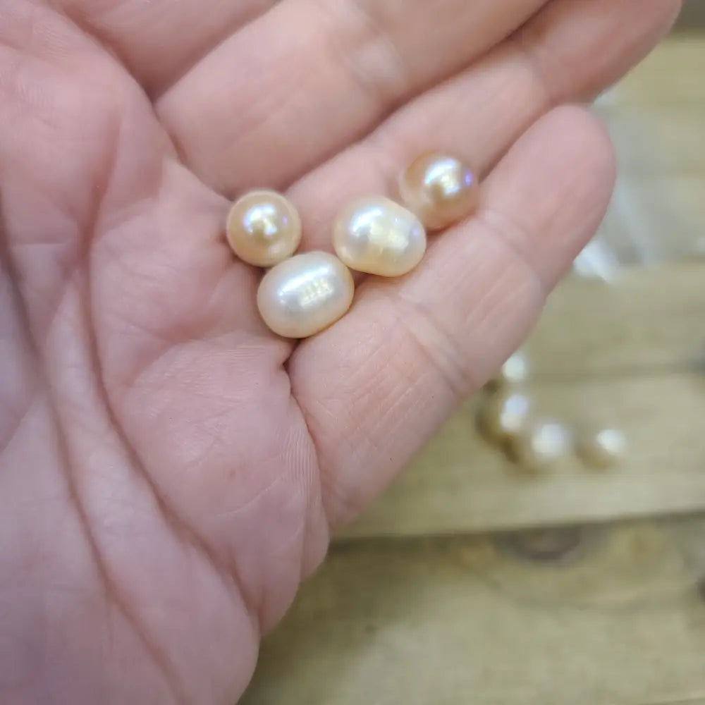 Freshwater Pearl Packs - Specimens