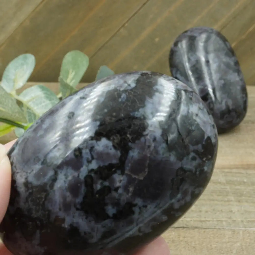 INDIGO GABBRO - PALMS - Large - PALM