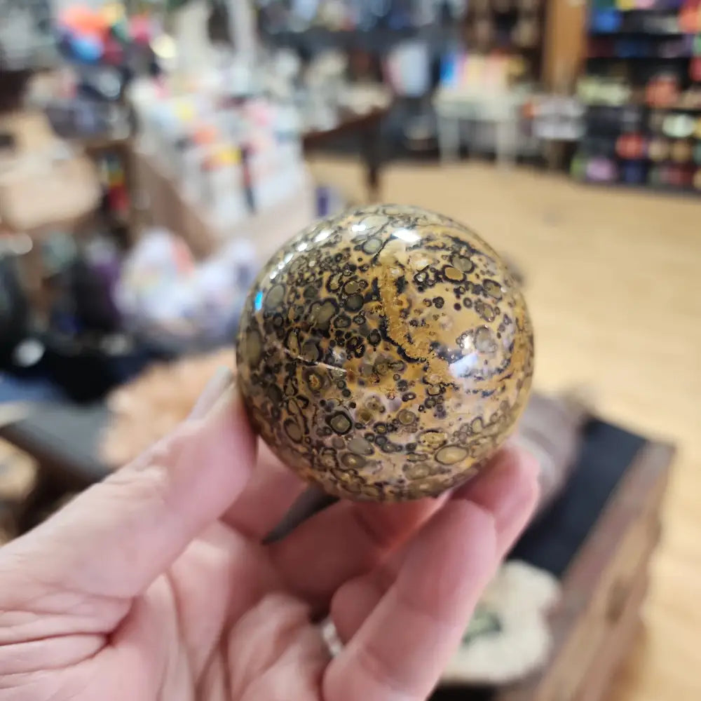 🐆✨ Leopard Skin Jasper Spheres – Shamanic Connection Protection and Vibrant Energy! ✨🐆 - F - Spheres