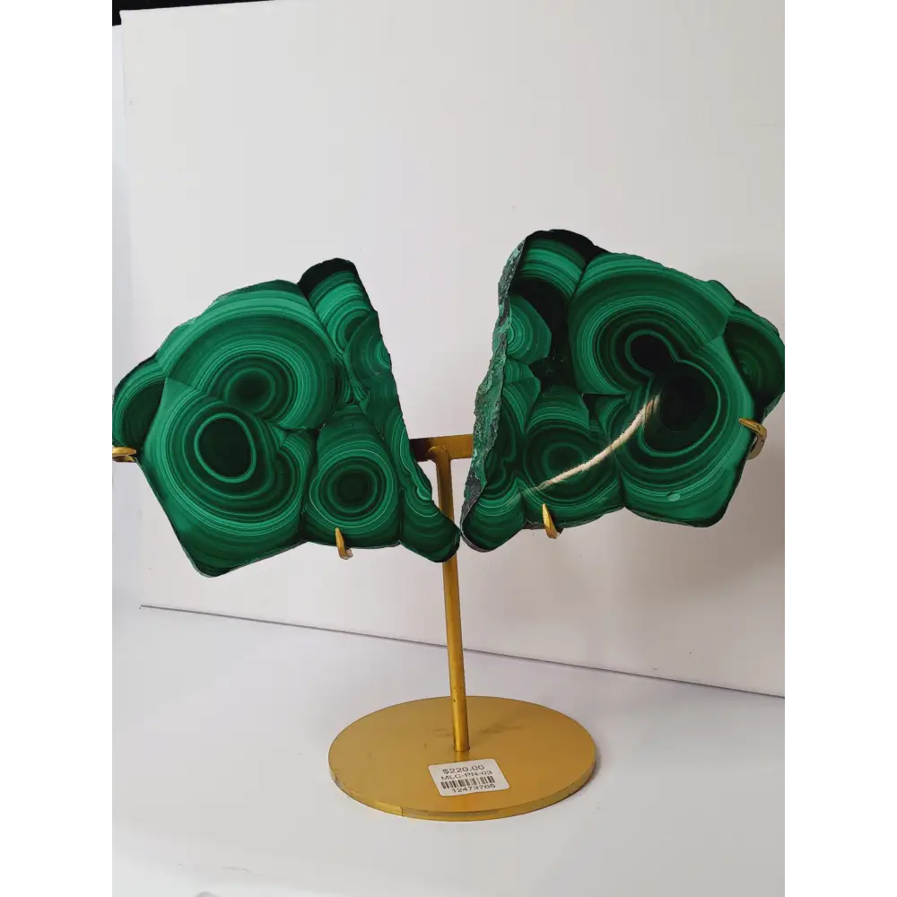 Pair of polished malachite slabs with vibrant green banding, displayed upright on a metal stand against a white background.