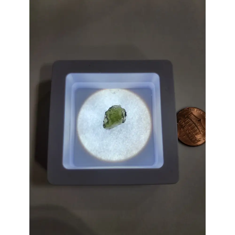Moldavite Specimens - 2 - Specimens