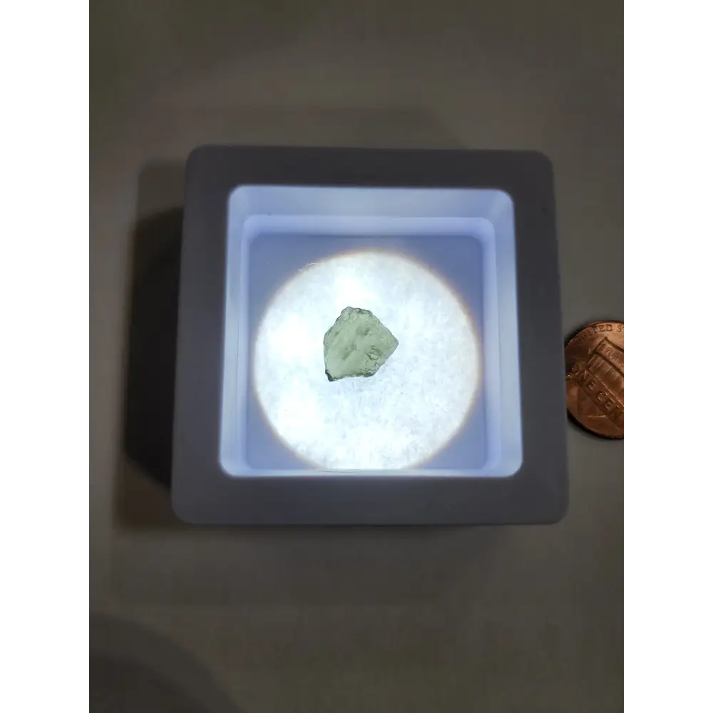 Moldavite Specimens - 5 - Specimens