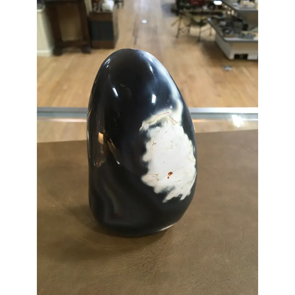 🌊✨ Orca Agate Free Forms – Deep Healing Communication & Oceanic Calm! 🐋 - Free Forms