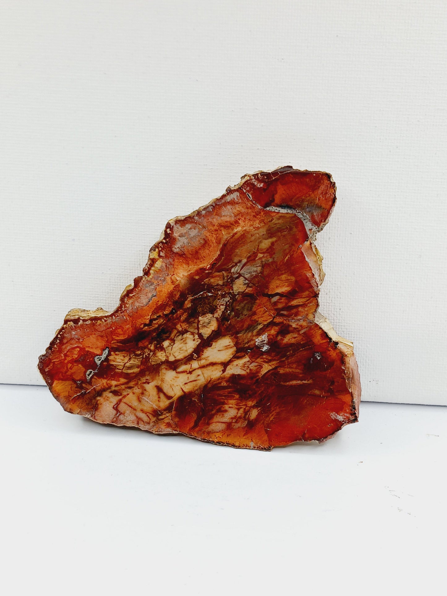 Petrified wood charging plate, polished with natural wood grain and earthy brown tones, displayed on a white background.