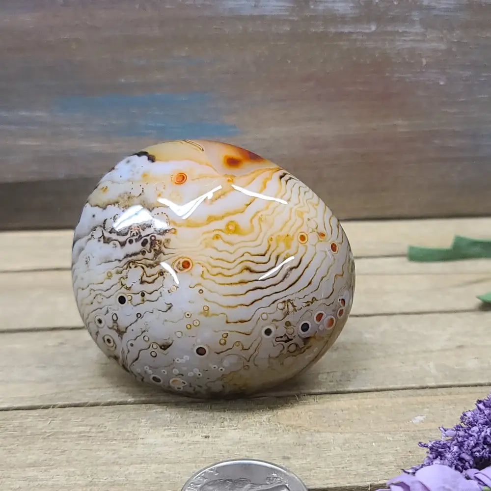 SardOnyx Palms - Large - 10. SardOnyx Palm - PALM