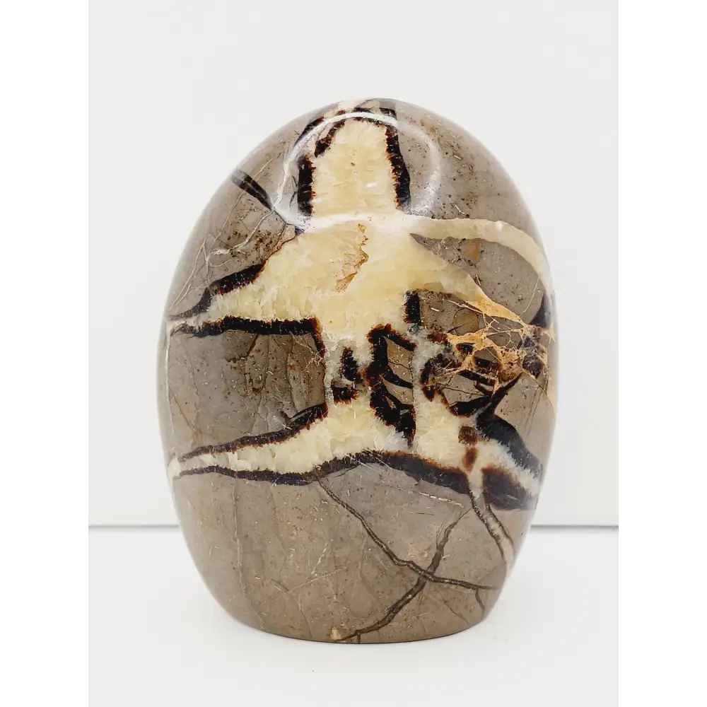 ๐โจ Septarian Free Form โ Earth Energy and Ancient Wisdom ๐๐ - 2 - 4.5โโ - Free Forms