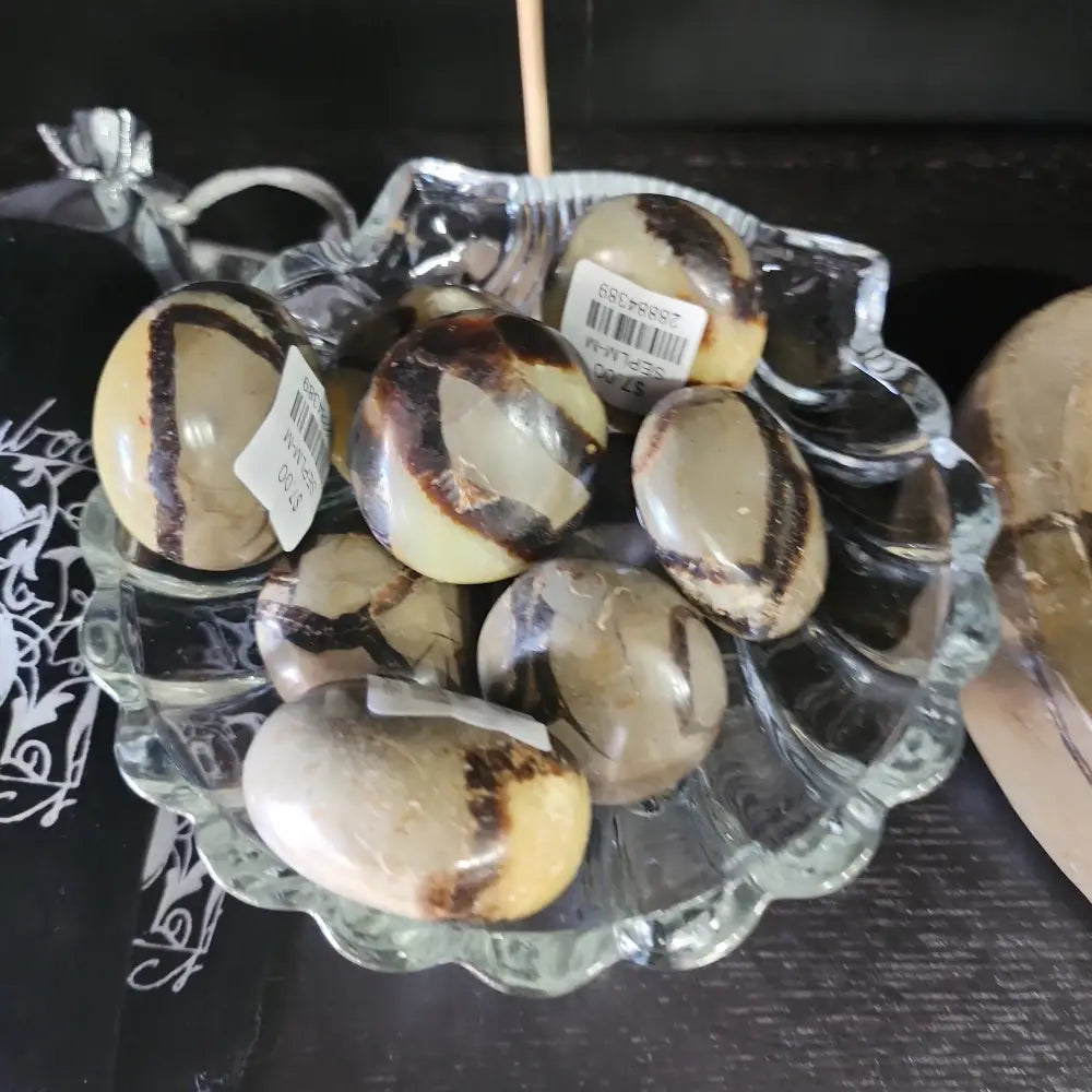 Septarian Palms - PALM