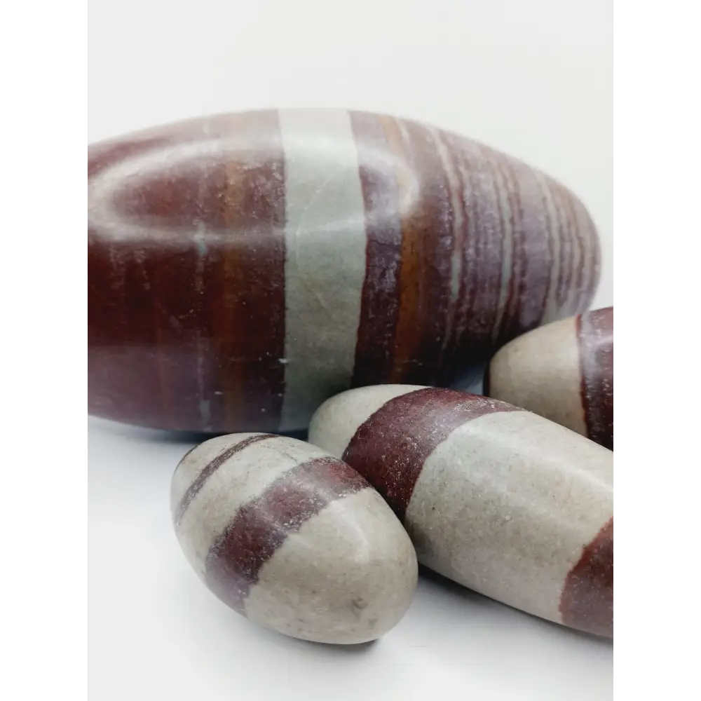 Shiva Lingam stones, polished with natural earthy patterns, available in sizes 1" to 8", displayed on a white background.