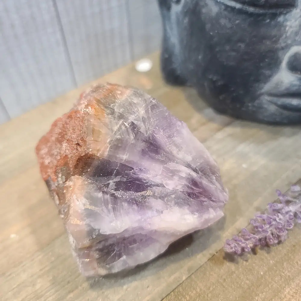 Super 7 Specimens - 08. No Dot - Specimens