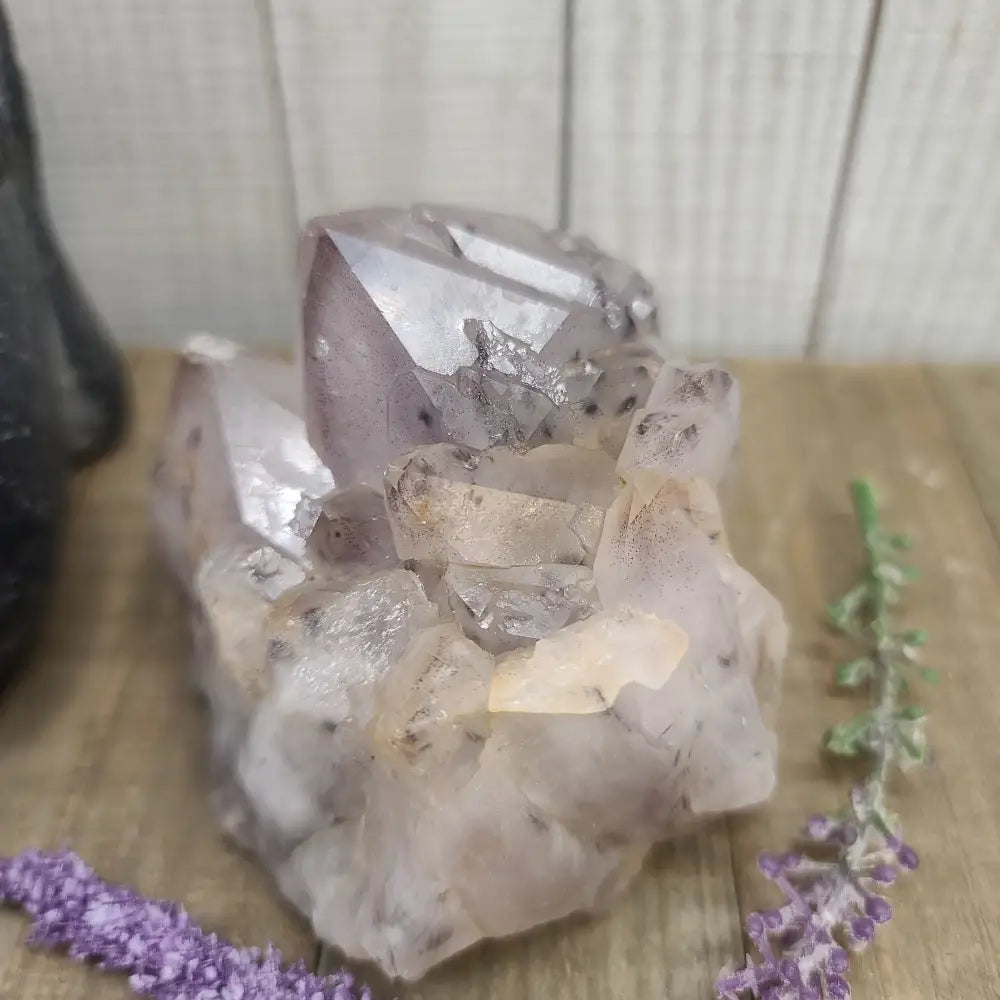 Super Seven Specimens (MELODY STONE) - 4 - Specimens