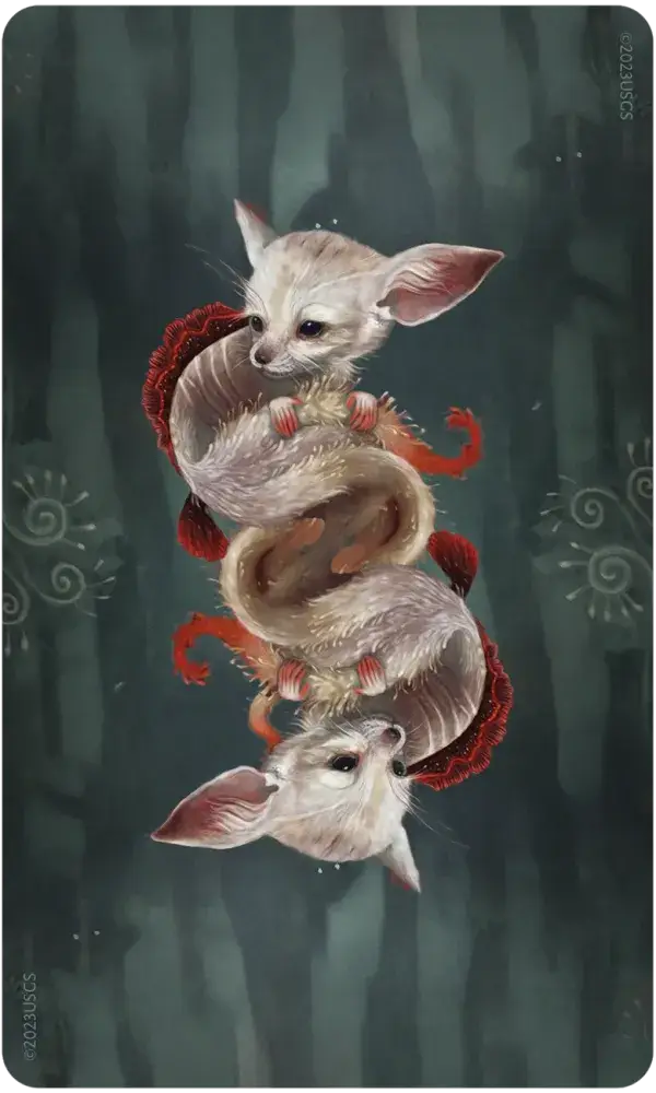 Wisdom of the Wild Things Oracle - Tarot Decks & Divination