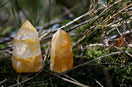 a couple of rocks sitting on top of a moss covered ground