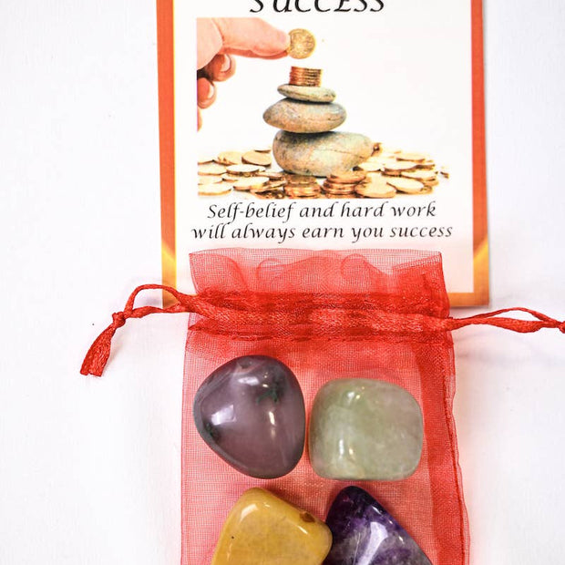 Success Crystal Tumble Healing Bag (Green Aventurine, Golden Quartz, Gray Agate + Amethyst)