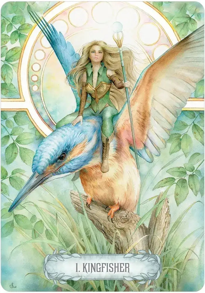 Enchanting Fantasy Oracle Deck by Scot Howden (49 Cards + Illustrated Guidebook)