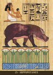 Egyptian Tarot #6 (36 Cards + Booklet) – by Silvana Alasia