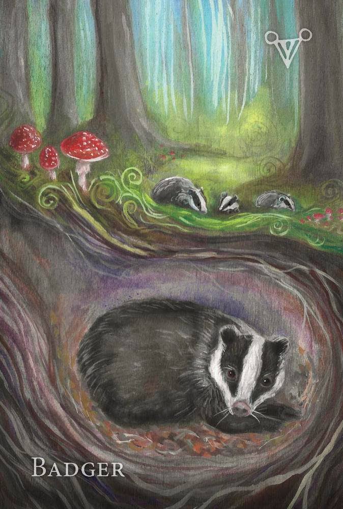 A Witch’s Ally Animal Familiars Oracle Deck – 48 Cards + Booklet – by Dodie Graham McKay and Laura Tempest Zakroff