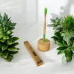 Adult Bamboo Toothbrush | Green