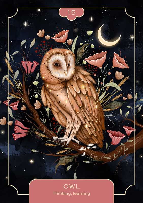 Animal Spirit Oracle by Lea Androic – 96 Pages (English)
