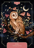 Animal Spirit Oracle by Lea Androic – 96 Pages (English)