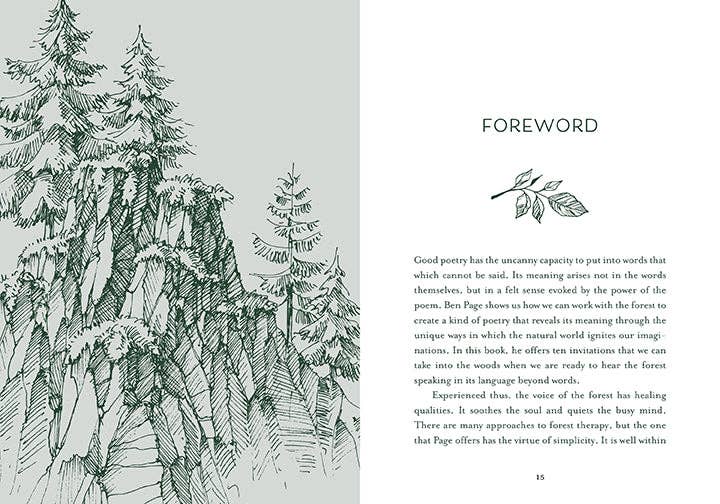Healing Trees – Mindful Walks for Peace, Presence, and Well-Being