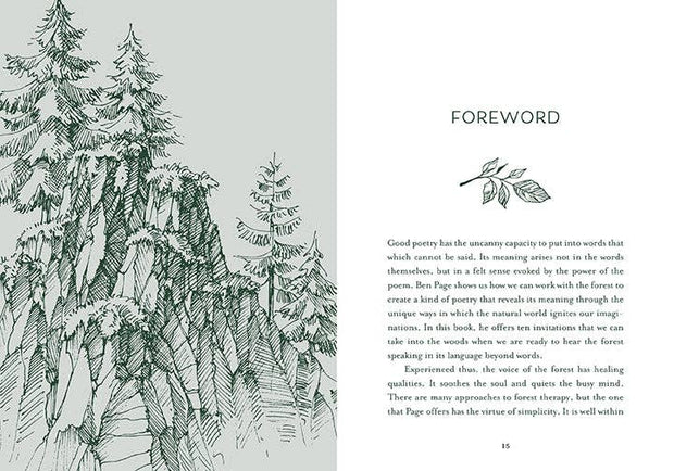 Healing Trees – Mindful Walks for Peace, Presence, and Well-Being