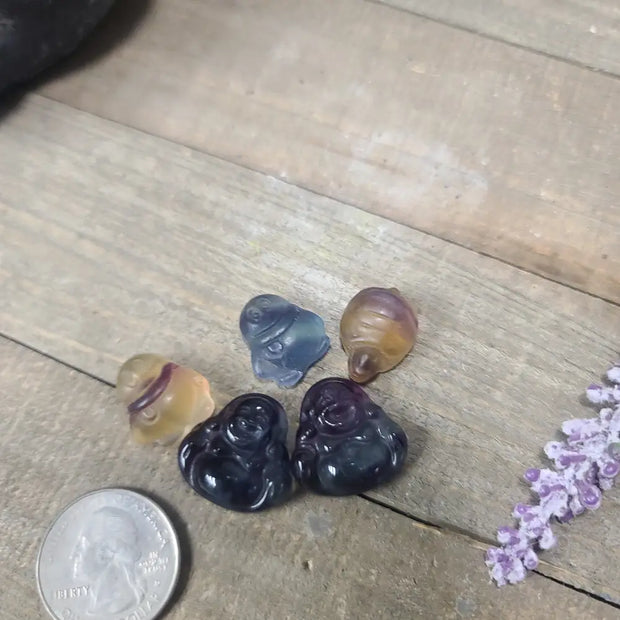 3/4’’ Rainbow Fluorite Carvings Buddha Penguin and Turtle - Carvings