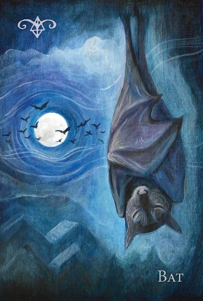 A Witch’s Ally Animal Familiars Oracle Deck – 48 Cards + Booklet – by Dodie Graham McKay and Laura Tempest Zakroff