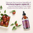 Jojoba Oil, USDA Certified Organic, 4 fl oz