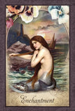 Vintage Wisdom Oracle (52 Cards + Guidebook) — 2015 COVR Award Winner