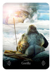 Divine Animals Oracle by Stacey Demarco – 180 Pages (English)