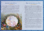 2027 Lunar and Seasonal Planner Calendar - Northern Hemisphere by Stacey  Demarco: Calendar; 216 pages / English