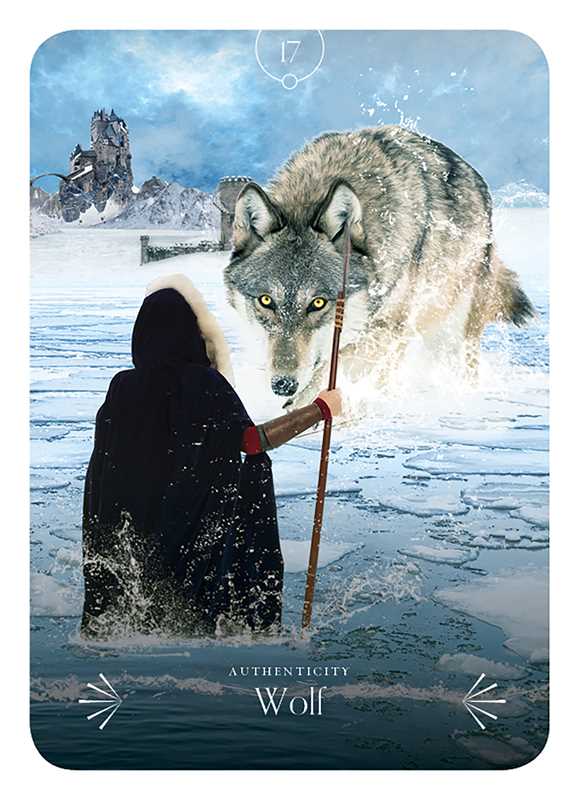 Divine Animals Oracle by Stacey Demarco – 180 Pages (English)