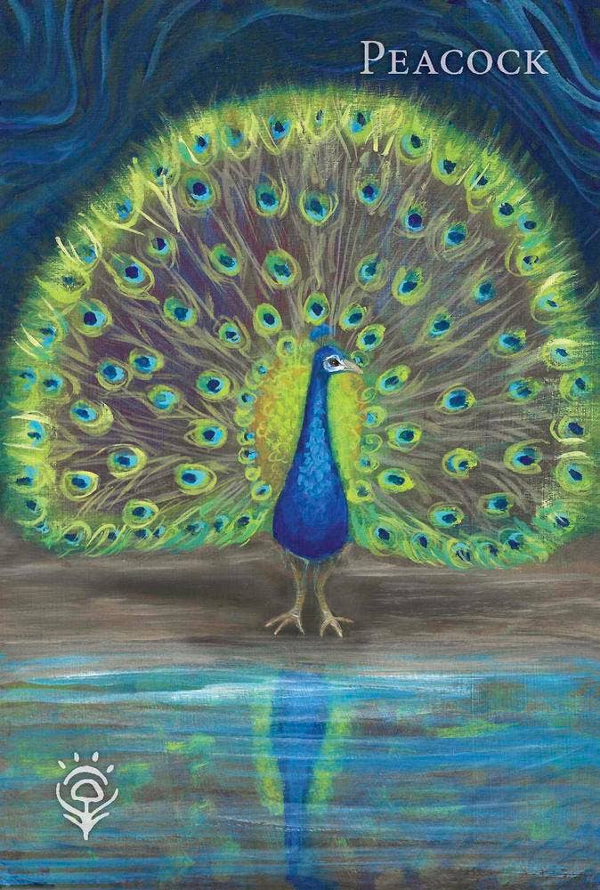 A Witch’s Ally Animal Familiars Oracle Deck – 48 Cards + Booklet – by Dodie Graham McKay and Laura Tempest Zakroff