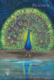 A Witch’s Ally Animal Familiars Oracle Deck – 48 Cards + Booklet – by Dodie Graham McKay and Laura Tempest Zakroff