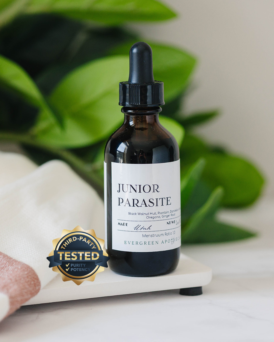 Junior Parasite Tincture (Ages 2+)  CONTAINS NUTS