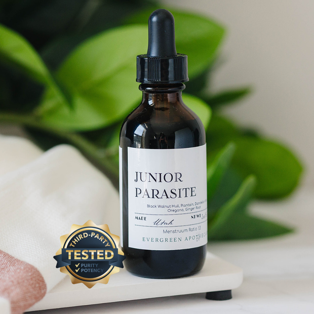 Junior Parasite Tincture (Ages 2+)  CONTAINS NUTS