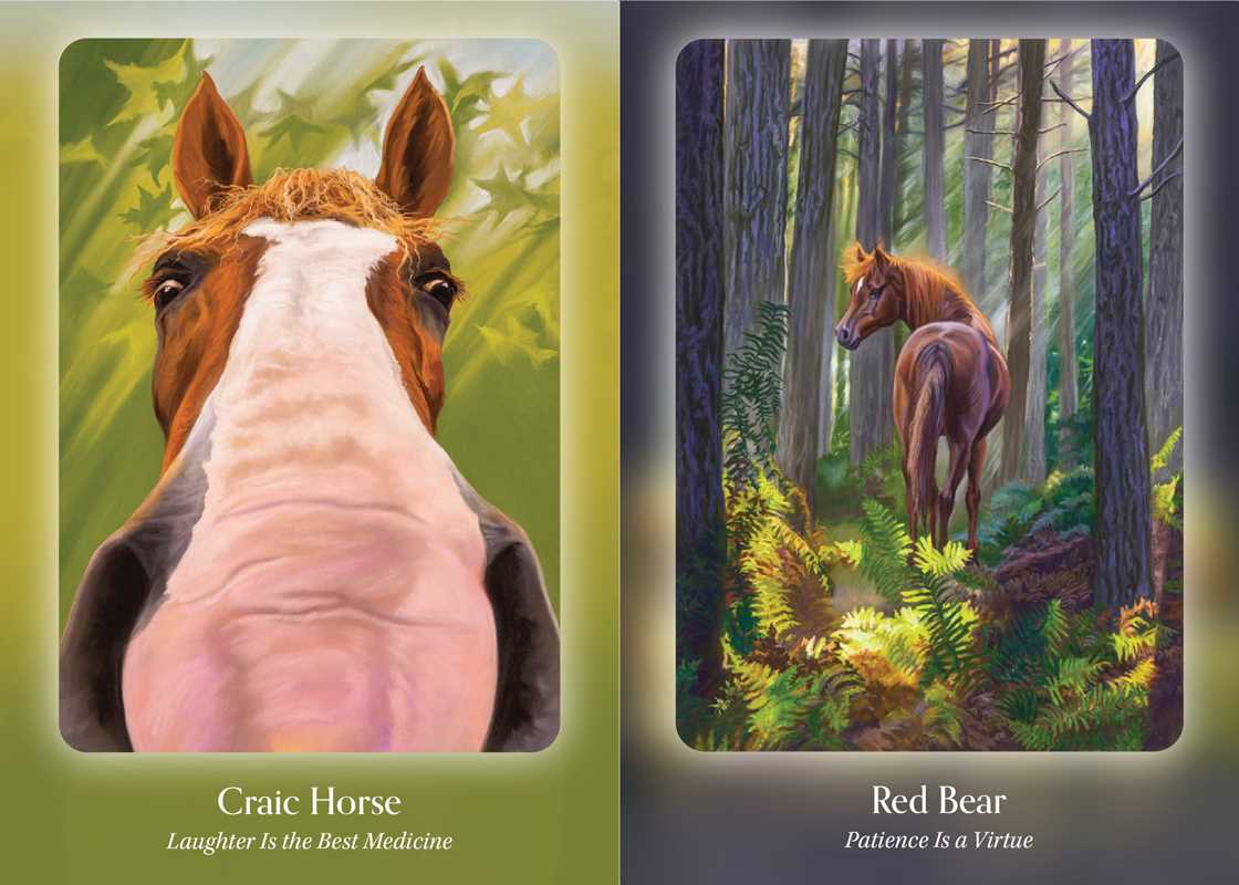 Council of Horses Oracle by Sandra Wallin: Flashcards; 192 pages / English