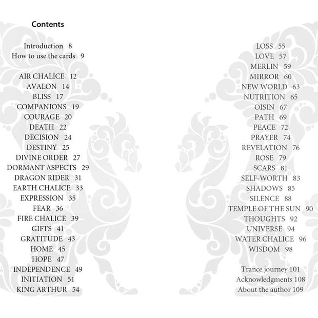 Dragon Wisdom by Christine Arana Fader: Flashcards; 112 pages / English