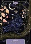 Animal Spirit Oracle by Lea Androic – 96 Pages (English)