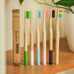 Adult Bamboo Toothbrush | Green