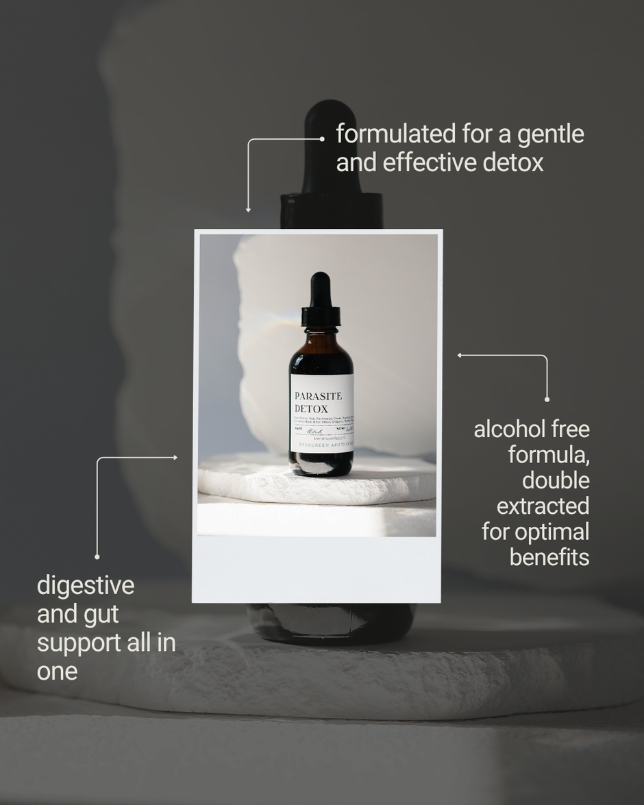 Parasite Detox Tincture (2oz)