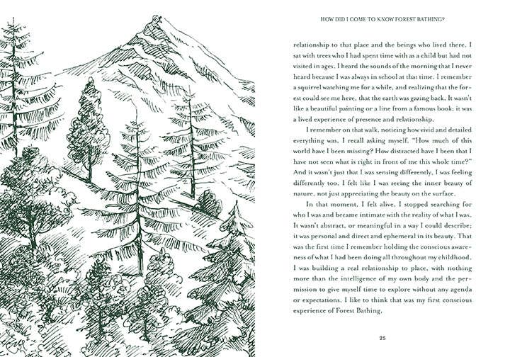 Healing Trees – Mindful Walks for Peace, Presence, and Well-Being