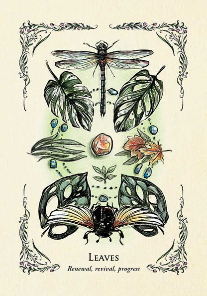 Green Witch's Oracle Deck by Arin Murphy-Hiscock – Flashcards Set, 100 Pages, English, Botanical Oracle Deck, Green Witchcraft, Nature Wisdom, Herbal Guidance, and Spiritual Growth