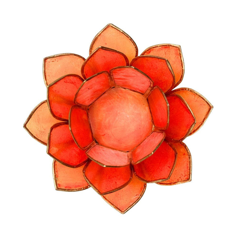 Coastal Capiz Shell Lotus Votive Candle Holders (2" H x 5" L) Assorted Colors