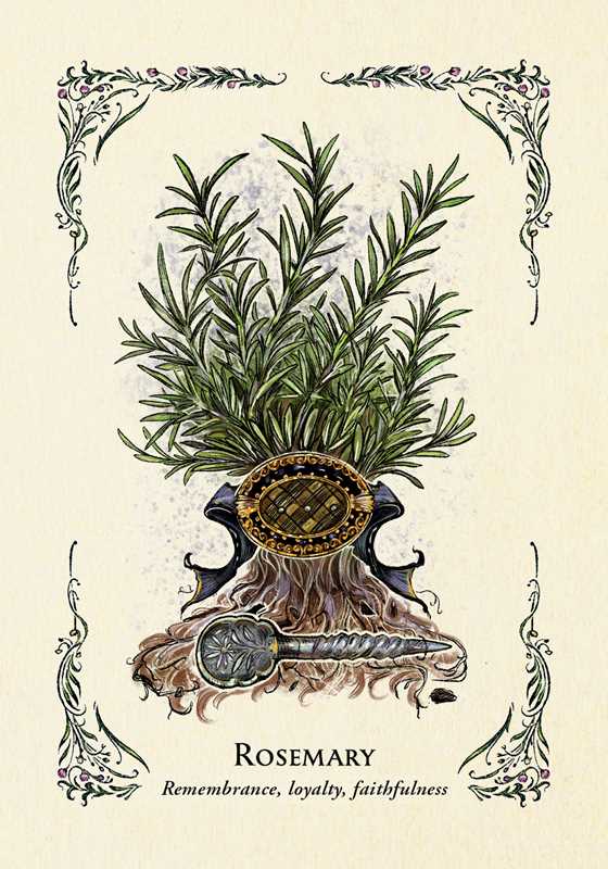 Green Witch's Oracle Deck by Arin Murphy-Hiscock – Flashcards Set, 100 Pages, English, Botanical Oracle Deck, Green Witchcraft, Nature Wisdom, Herbal Guidance, and Spiritual Growth